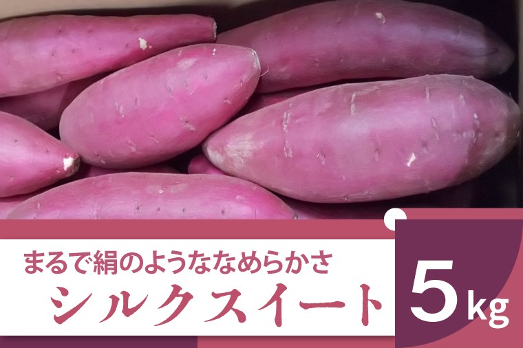 
                  【先行予約】【11月より順次発送】2026年度産 まるで絹のようななめらかなさつまいも シルクスイート 約5kg｜さつまいも 芋 お芋 シルクスイート 渋谷農園 先行予約 茨城県 行方市(BZ-19)
                