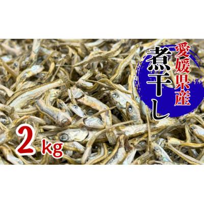 ふるさと納税 伊予市 伊予煮干 いりこ 2kg 【2026年10月以降発送】 伊予灘産 瀬戸内海