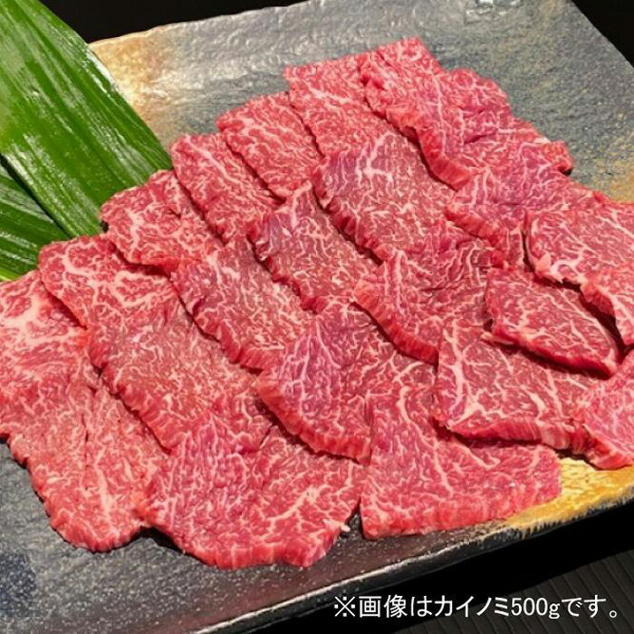 【ふるさと納税】熊野牛 希少部位 カイノミまたはササミ 焼肉用 約500g【MT41】 | 和歌山県 和歌山 九度山町 楽天ふるさと 納税 返礼品 支援品 お取り寄せグルメ お取り寄せ 取り寄せ グルメ 牛肉 国産牛 肉 ブランド牛 焼き肉 やきにく 牛 焼肉 食品 美味しい