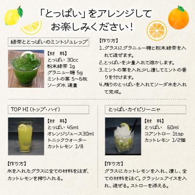 ふるさと納税 国東市 本格麦焼酎「とっぱい」の大盤振る舞い!_29006C |  | 02