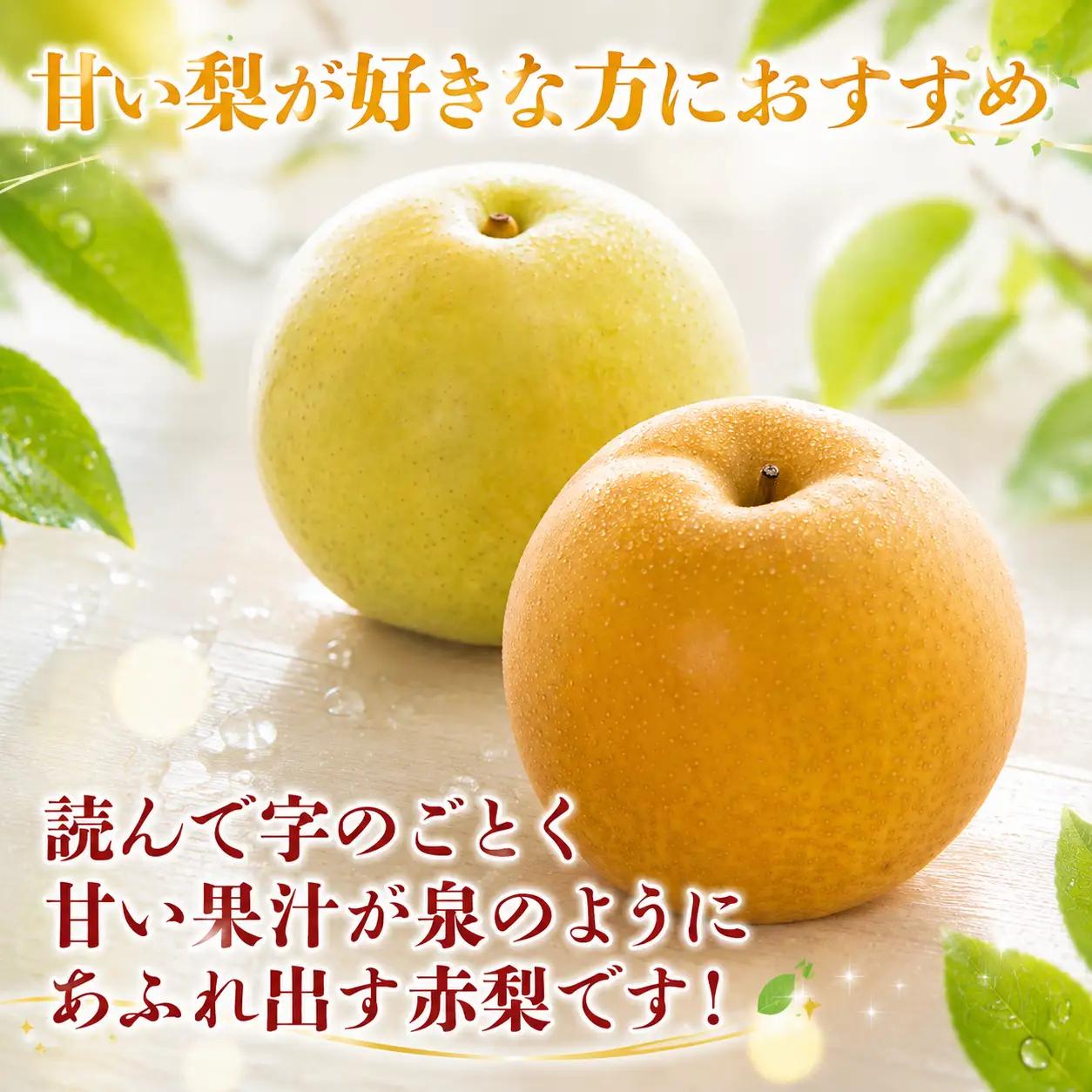 Y026 プレミアム新甘泉 5kg