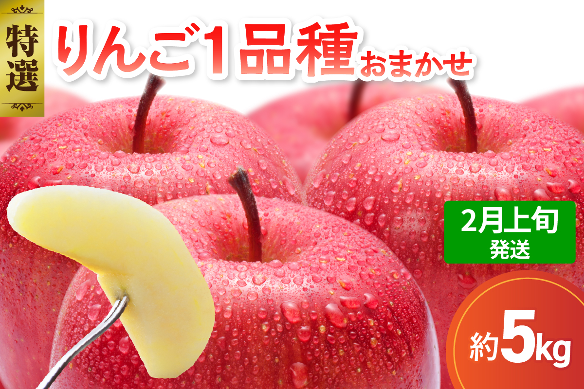 【2026年2月上旬発送】 【特選】 旬の美味しい りんご 約5kg 青森産 【おまかせ1品種】