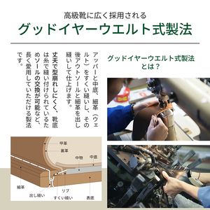 ビジネスシューズ リーガル REGAL 315R ストレートチップ ブラウン 盛岡市産モデル 革靴 紳士 靴 紳士靴 茶色 ファッション メンズ 国産 フォーマル 日用品 26.0cm