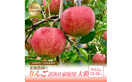
                  訳あり りんご 有機肥料 低農薬栽培 家庭用 大箱 4.3kg 12～18玉 福島県 白河市 リンゴ りんご リンゴ 林檎 果物 くだもの フルーツ 福島県 白河市 F21R-109
                