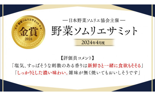 【 2026年2月上旬発送開始 】スーパーフルーツトマト 小箱 約800g ( 7～13玉 ) 糖度9度以上 ＆ 新鮮 きゅうり 約20本 と PREMIUM ドレたれセット とまと トマト 野菜 サ