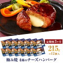 【ふるさと納税】極み焼きハンバーグ（4種のチーズソース）セット定期便3か月 定期便