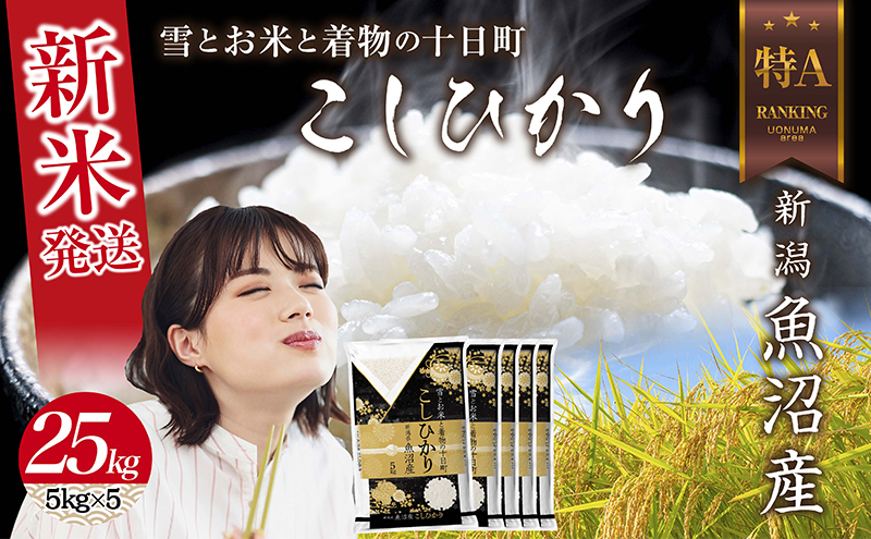 
            令和6年産 新潟県 魚沼産 コシヒカリ お米 25kg （5kg×5袋） 精米済み（お米の美味しい炊き方ガイド付き） お米 こめ 白米 新米 こしひかり 食品 人気 おすすめ 送料無料 魚沼 十日町 十日町市 新潟県産 新潟県 精米 産直 産地直送 お取り寄せ
          