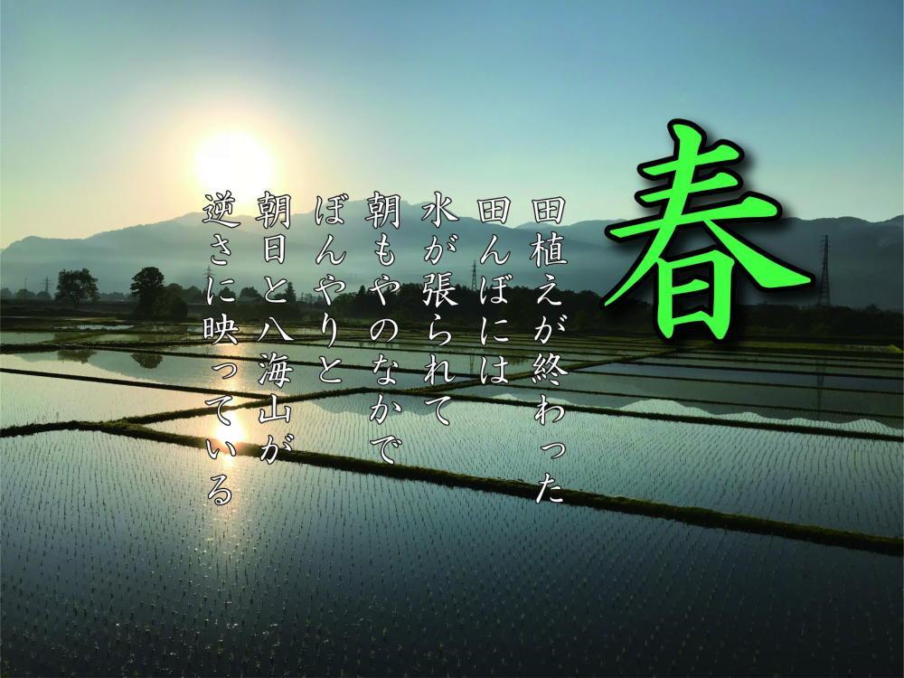 【令和7年産】【南魚沼産】コシヒカリ 白米2kg【2025年9月中旬より順次発送予定】