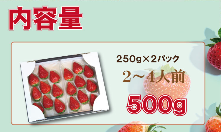 【先行予約（１月から順次出荷】 佐賀ブランド苺「いちごさん」合計500g（250g×2セット）凛々 苺 いちご イチゴ  農家 直送品 果物 くだもの フルーツ 人気 ランキング 高評価