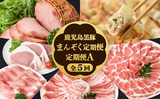 
                  D02006 ＜定期便・全5回＞かごしま黒豚まんぞく定期便A (月1回×5ヶ月) 鹿児島 国産 肉 豚肉 黒豚 焼豚 肩ロース ロース モモ 餃子 ぎょうざ しゃぶしゃぶ とんかつ セット 定期便【和田養豚】
                