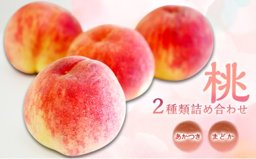 桃 2種類詰め合わせ3kg(あかつき・まどか) 長野県
