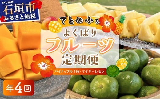 《年4回発送》パイナップル好きにおすすめ！大満足のパイナップル３品種＆マイヤーレモン定期便