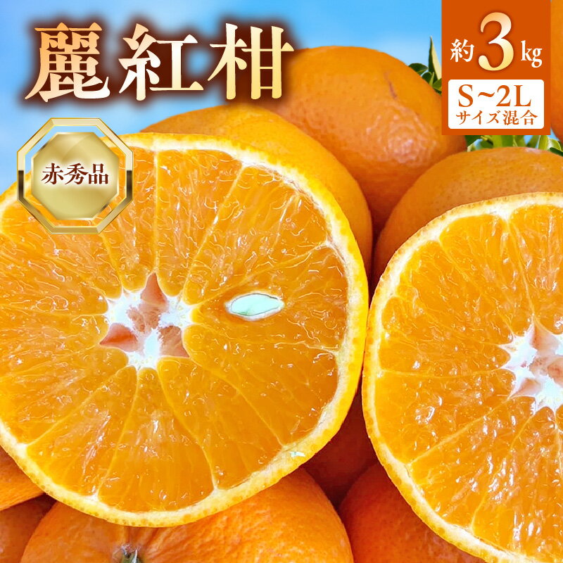 【ふるさと納税】【2026年先行受付】 麗紅柑 (れいこう) 赤秀品 S～2Lサイズ 3kg 和歌山有田産 【ミカン 柑橘 麗紅 有田みかん 和歌山 】