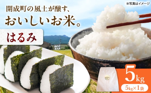【令和7年産】 はるみ 5kg 【Junkan農園】 米 お米 精米 白米 はるみ 令和7年産 [BDBF002-1]