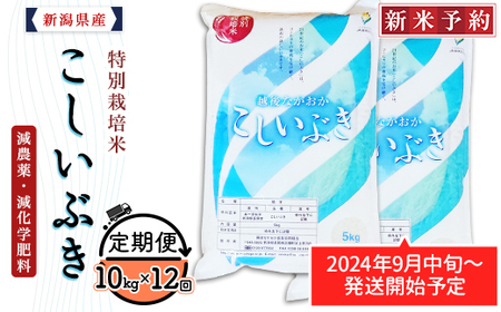 75-BK10Z【12ヶ月連続お届け】新潟県長岡産特別栽培米こしいぶき10kg（5kg×2袋）【2025年1月中旬～下旬発送開始】