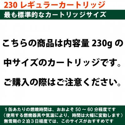 ふるさと納税 川口市 EPIgas 230レギュラーカートリッジ【2個入り】 |  | 02