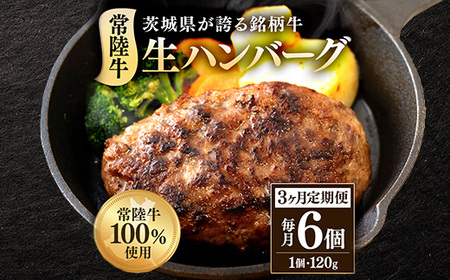 生ハンバーグ120g×6個 常陸牛 100％ 【3ヶ月連続お届け】 513