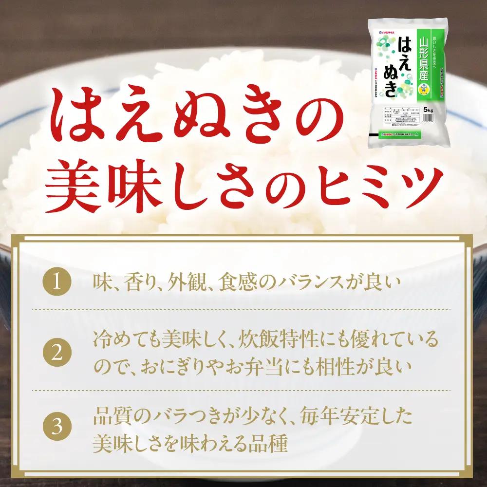 令和7年産 山形県産 はえぬき 無洗米 5kg はえぬき