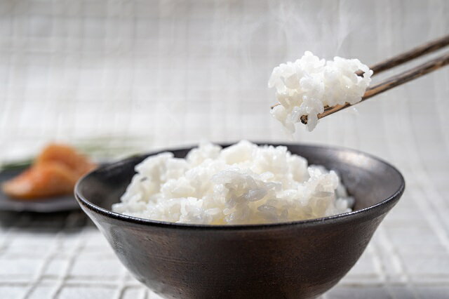 【ふるさと納税】越知町産自然いっぱいで育った【早生米】 5kg