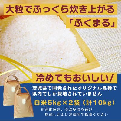 ふるさと納税 ひたちなか市 【先行予約・9月以降順次発送】令和7年　ひたちなか市産　ふくまる(精米)5kg×2袋 |  | 01