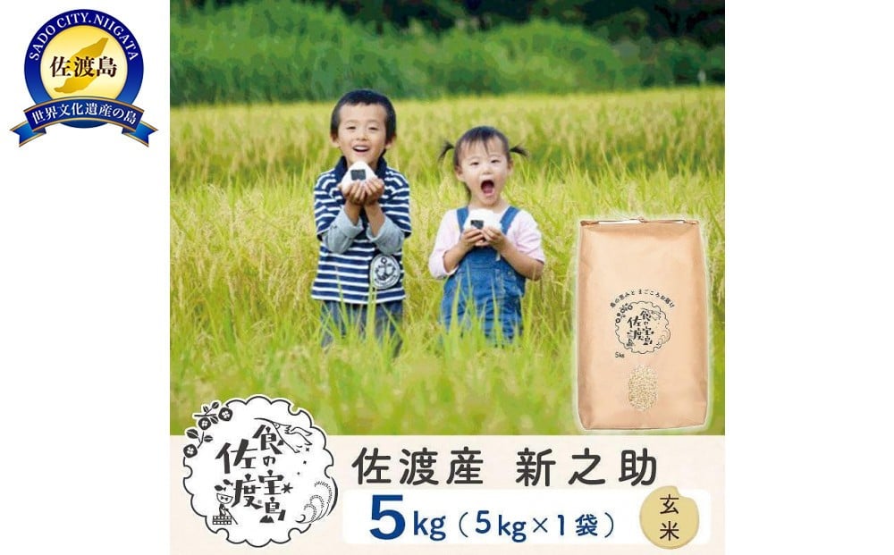 
            【新米予約】佐渡島産 新之助 玄米5kg×1袋
          