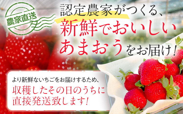 【先行予約/2026年】大木町産 あまおう いちご 約270ｇ×4パック《2026年2月以降順次発送》イチゴ 苺 果物 おすすめ 福岡県 大木町 CL001