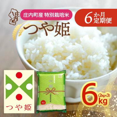 ふるさと納税 庄内町 【定期便】＜令和8年産＞つや姫 2kg×3袋×6ヶ月 毎月 6kg 精米【10月下旬発送】