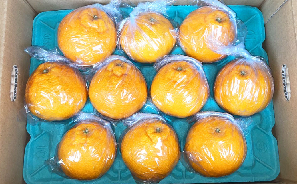 不知火 約3kg 約10玉程度