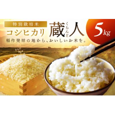 ふるさと納税 京丹後市 【農家直送】令和7年産 特別栽培米コシヒカリ 蔵人(くらんど) 精米5kg | 