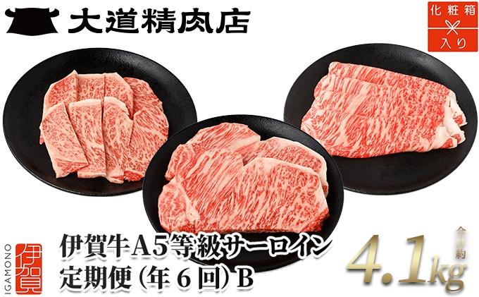 
                  【年6回】伊賀牛 A5サーロイン 定期便コースB 総合計約4.1kg【dido-tkb0010】
                