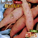 【ふるさと納税】 【kg数が選べる】 さつまいも 紅はるか 訳あり 千葉県 南房総市 野菜 サツマイモ いも しっとり ねっとり 焼き芋 土付き スイートポテト 干し芋 芋けんぴ お取り寄せ グルメ 送料無料