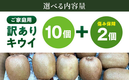 キウイ 訳あり（10個）【11月上旬から順次発送】キウイ[AGDC006]