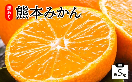 先行予約 訳あり みかん 5kg【2026年10月上旬～2027年2月中旬までに発送予定】柑橘 フルーツ 果物 くだもの 規格外 不揃い