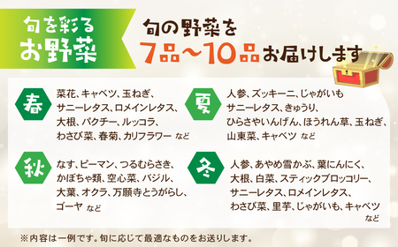 渥美半島産 やさいの宝箱 選べる 品数 Aセット