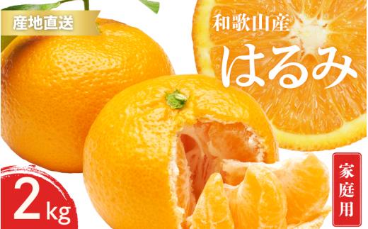 【先行予約】家庭用 訳あり はるみ 和歌山 有田 2S～3Lサイズ混合 2kg【1月下旬～3月下旬までに順次発送予定】/ みかん フルーツ 果物 くだもの 蜜柑 柑橘【ktn049A】