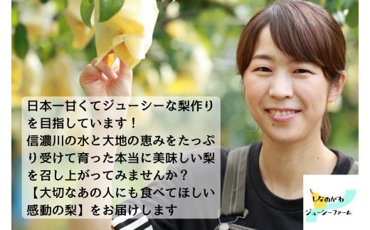 先行予約 和梨 豊水 自家用 約5kg 令和8年度 新潟県 三条市産 梨 [しなのがわジューシーファーム]【010S481】