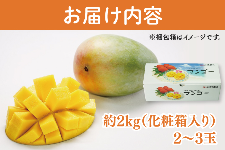 【2025年8月より順次発送】【先行予約】キーツマンゴー 2～3玉(約2kg)(化粧箱)｜沖縄県 豊見城市 マンゴー キーツマンゴー フルーツ 果物 くだもの おきなわマンゴー ギフト 贈り物 化粧箱入り 先行予約(AE015)
