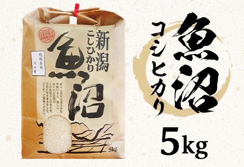 B7-7K051新潟県魚沼産（長岡川口地域）コシヒカリ5kg