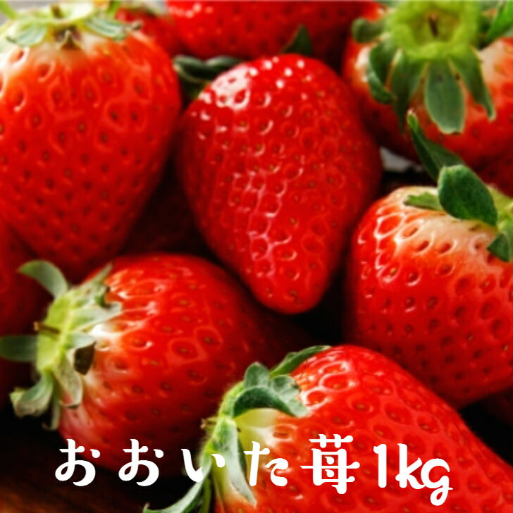 【ふるさと納税】【先行予約】令和8年発送/大分県産いちご1kg/250g×4パック