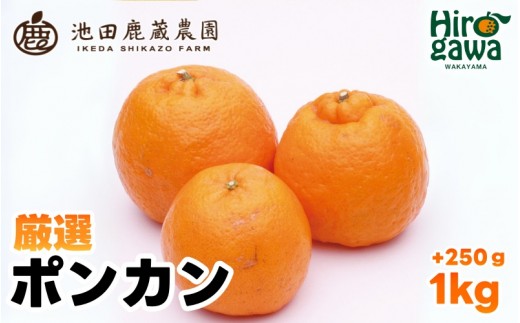 
                  厳選 ポンカン 1kg+250g（痛み補償分） 光センサー 食頃出荷【ikd008-p-1A】
                