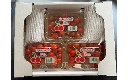 【2026年度 先行予約】涼風フルーツ定期便 全4回 さくらんぼ メロン 桃 シャインマスカット 果物 フルーツ FSY-2069