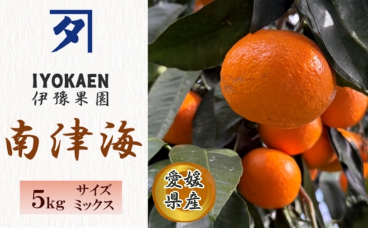 南津海 サイズミックス 約5kg ご家庭用 みかん 愛媛 人気 柑橘 伊豫果園 伊予市｜B388