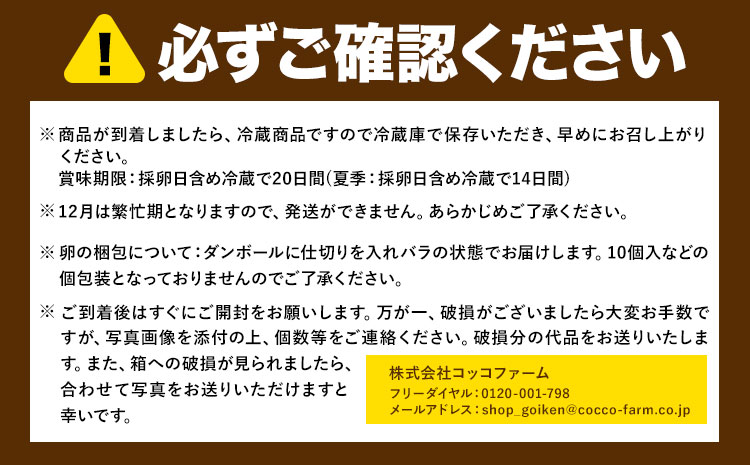 コッコファームのたまご 40個 コッコファーム《90日以内に出荷予定(土日祝除く)》熊本県 菊池市 卵 鶏卵 玉子 たまご 家庭用 熊本県産 九州産 冷蔵 送料無料