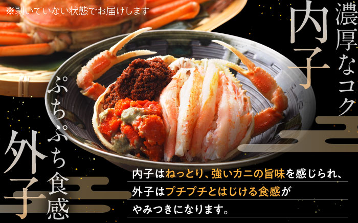 【先行予約/11月7日より順次発送】朝ゆで国産セイコガニ 5杯 | 蟹 かに カニせいこがに セイコガニ せいこ蟹 ボイル 5匹 冷蔵 メス ずわいがに 送料無料 セコガニ せこがに せいこ セイコ 