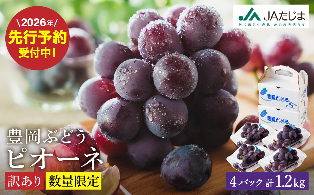 【2026年先行予約】数量限定 訳あり 豊岡ぶどう「ピオーネ」 約300g×4パック ／ ぴおーね ブドウ 葡萄 訳ありぶどう 大粒 強い甘み 爽やかな酸味 新鮮 果物 産地直送 くだもの フルーツ 上品 香り