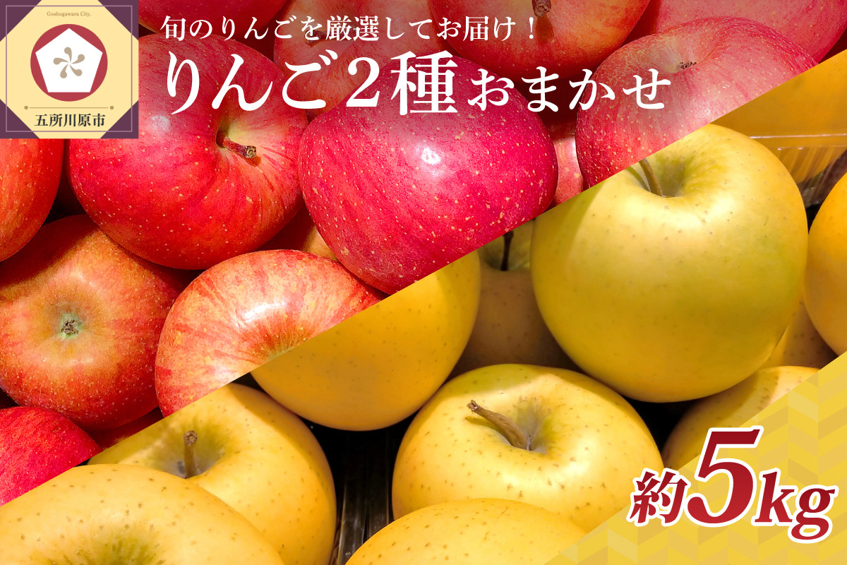 
【選べる配送時期】 りんご 青森産 約5kg 品種おまかせ2種以上 贈答用 特選～特秀
