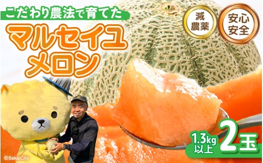 【先行予約】 安心安全！減農薬！こだわり農法で育てたマルセイユメロン 2玉  (1玉あたり：1.3kg以上) 【2026年6月中旬以降順次発送予定】 【メロン めろん 赤肉 フルーツ デザート 果物 くだもの 果実 糖度 甘い 産地直送 国産】 [A-21208]