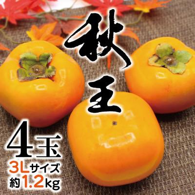 ふるさと納税 宮若市 【2026年10月下旬〜11月下旬発送予定】福岡県ブランド柿「秋王」約1.2kg 3L4玉(宮若市)