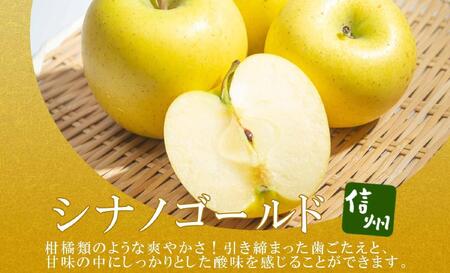 ＜26年発送 先行予約＞長野県産 りんご シナノゴールド 訳あり 約3kg リンゴ 旬 フルーツ 訳アリ 林檎 果物 規格外 自家用 産地直送 農園 産直 お取り寄せ もぎたて 採れたて 送料無料 堀