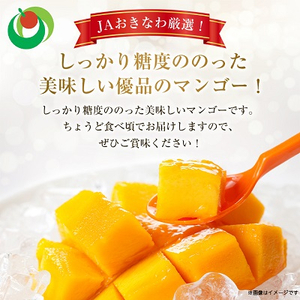 【2024年発送】＜ご家庭用・訳あり＞完熟アップルマンゴー約2kg(白箱)3玉～7玉【配送不可地域：離島】【1390903】